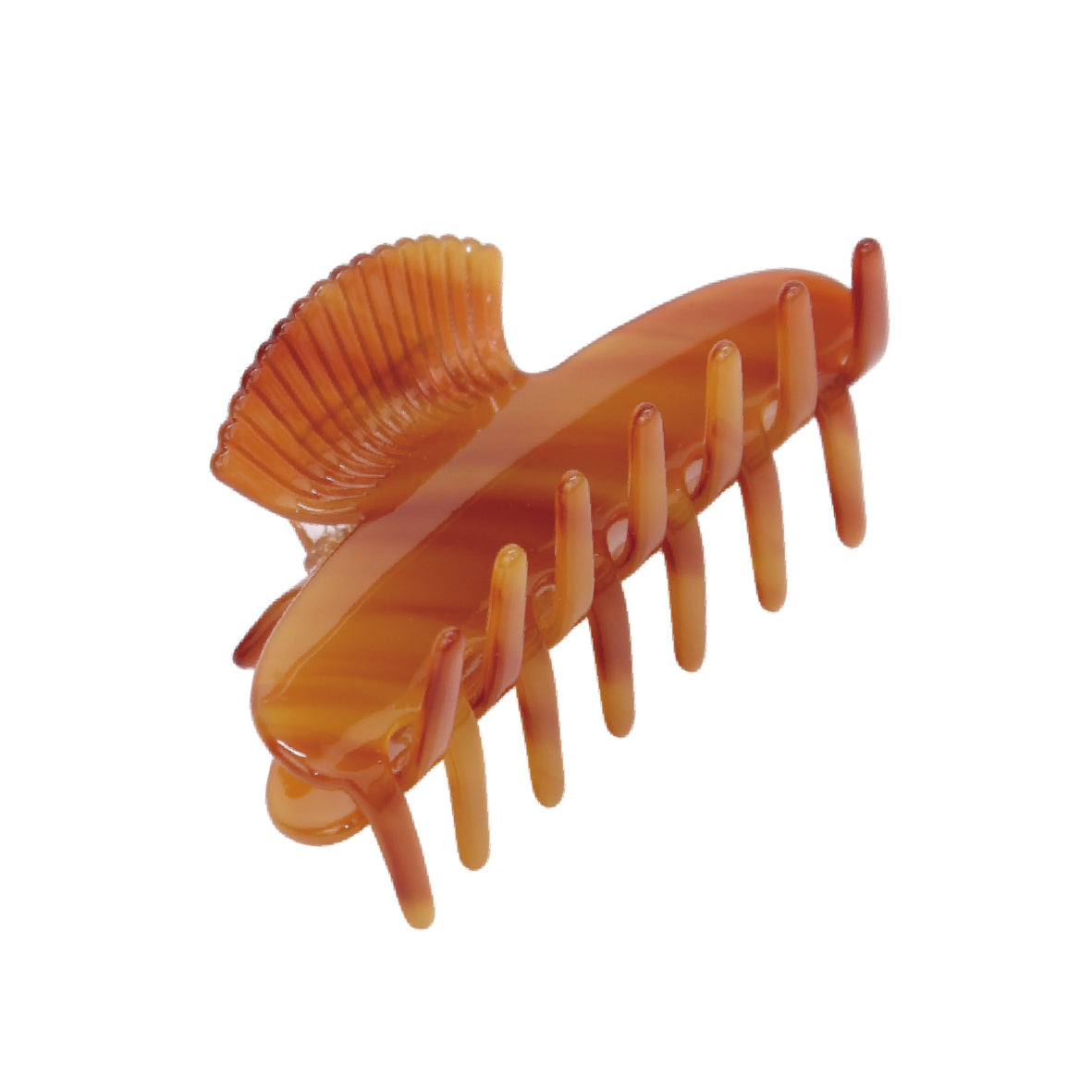 Coastal Hair Clip in Tortoiseshell Shell